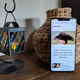 Imagen para el artículo titulado Huawei Mate 20 Pro, un smartphone casi perfecto que corona a Huawei como la nueva Samsung